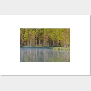 Forest reflecting to small lake at morning Posters and Art